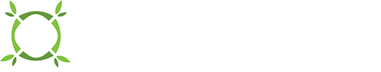 Bamboo Bodies logo